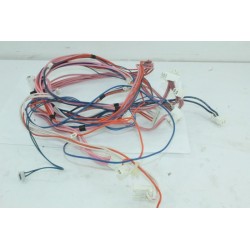 ELECTROLUX EDC67550W N°30 Câblage pour sèche linge
