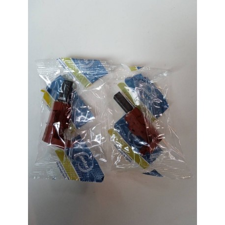 C00273898-1 Charbon pour moteur