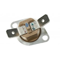2907160100 Thermostat, sonde