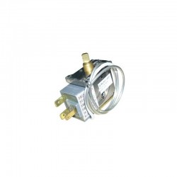 41X2905 Thermostat 