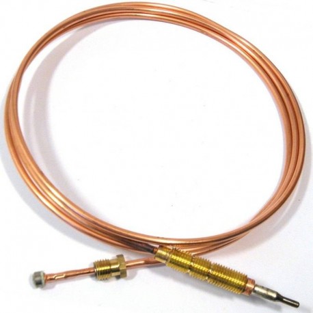 C00028639 Thermocouple 