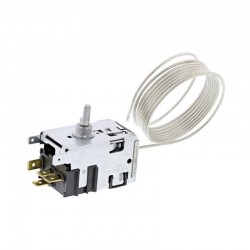 2063979740 Thermostat 