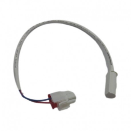 4216604600 Sonde